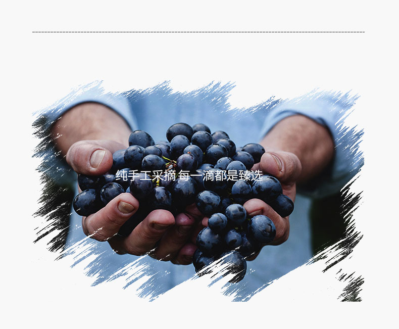 【法国进口】男伯爵庄园干红葡萄酒2010 法国