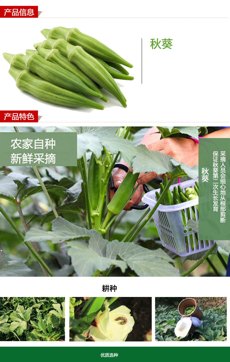 秋葵重量:1000-2499g包装形式:简装货号:黄秋葵三斤装商品产地:中国
