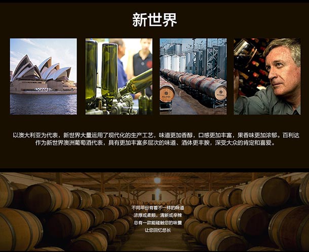 澳洲进口红酒 百利达干红葡萄酒 Palinda酒庄 