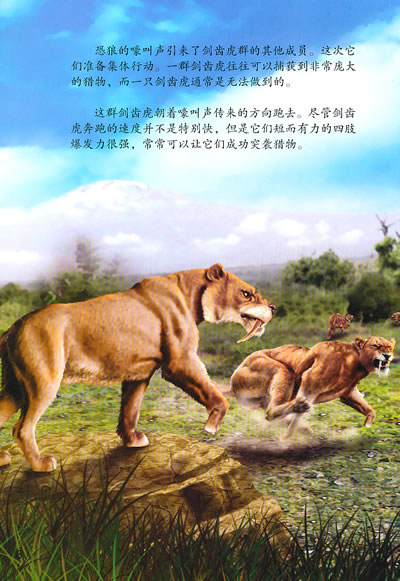 本套书共12册,包括孩子们熟知和喜爱的霸王龙,甲龙等等.