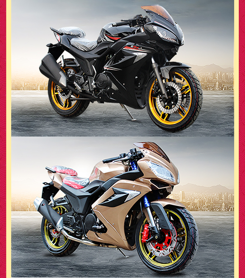 坤铃 地平线r款摩托车 可上牌跑车s款大跑车街跑休闲跑车大排量趴赛