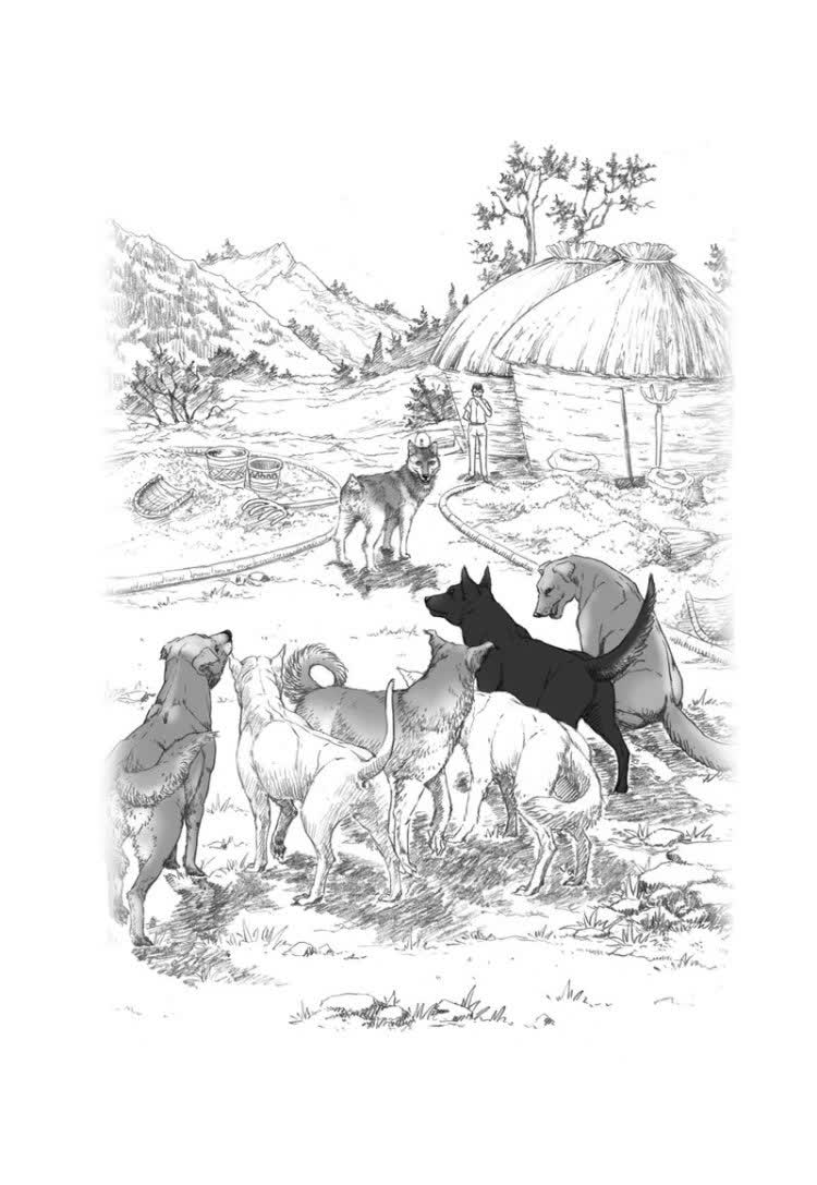 沈石溪,原名沈一鸣,1952年生于上海,祖籍浙江慈溪.