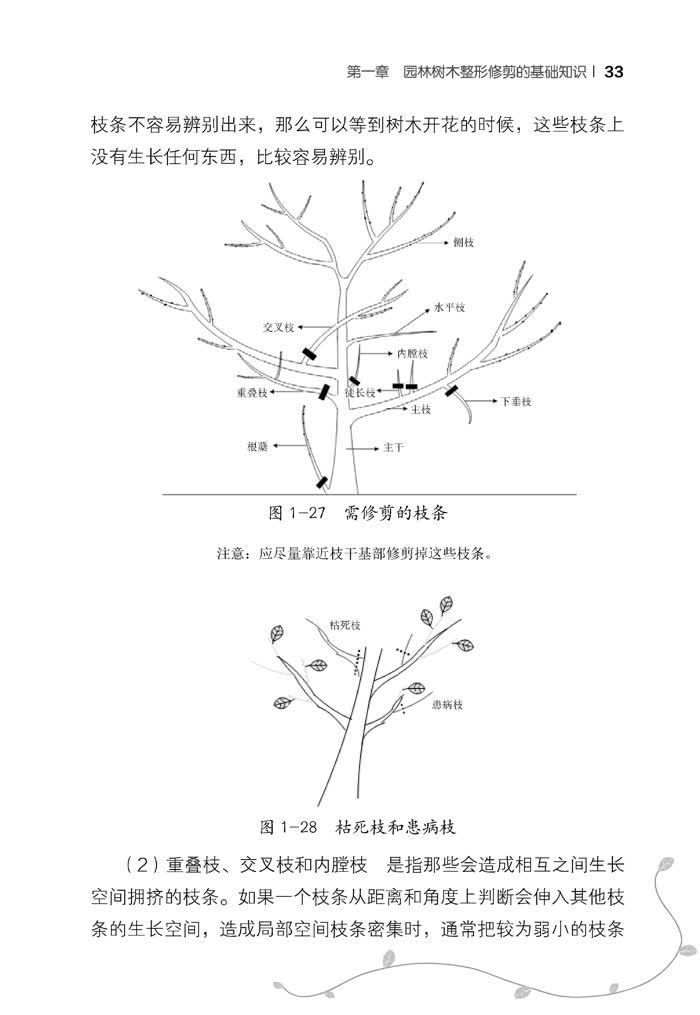 园林绿化树木整形与修剪