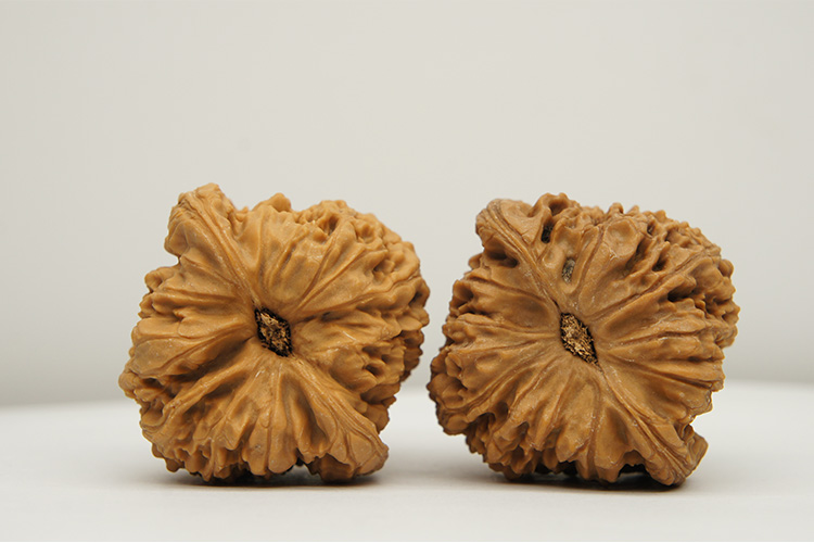 【文玩八方】原桩 大肚 41mm 南将石狮子头 nj68 文玩 把玩 麻核桃