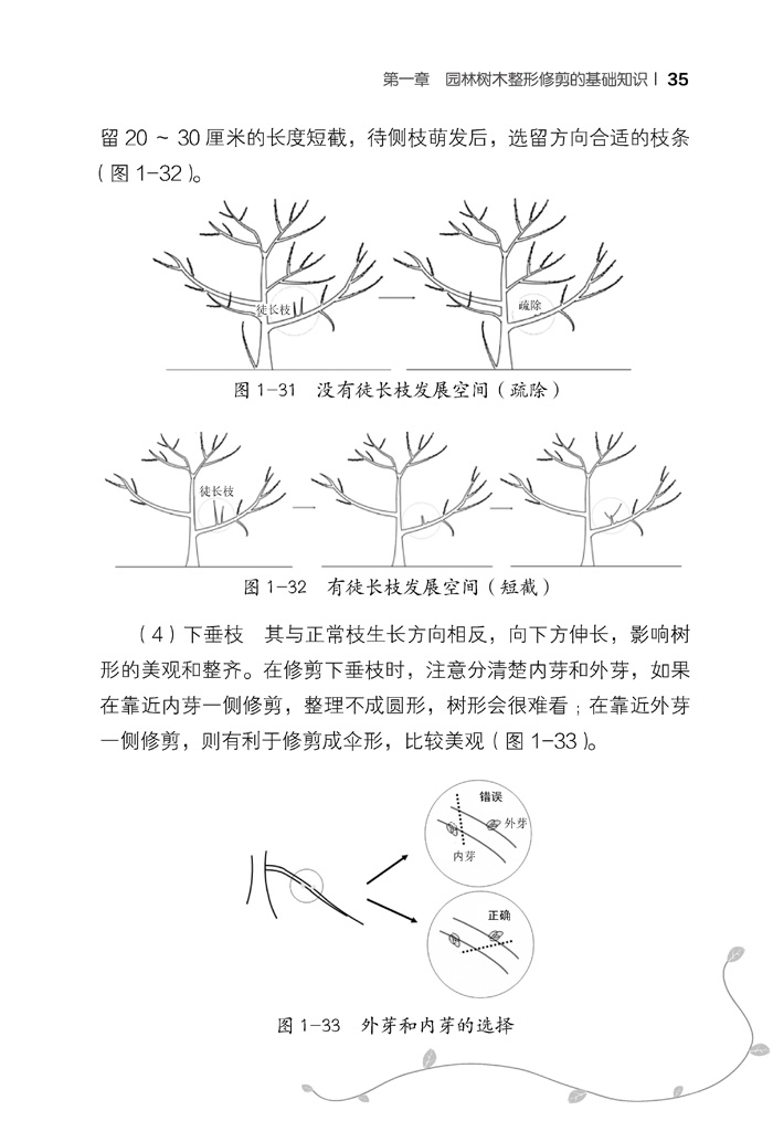 园林绿化树木整形与修剪