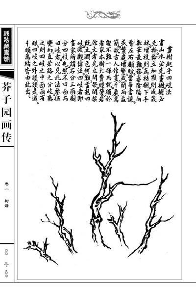 芥子园画传(线装(清)王概等编