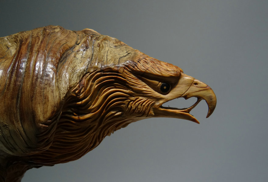 崖柏根雕老鹰摆件 天然造型随型创意根雕一整块料