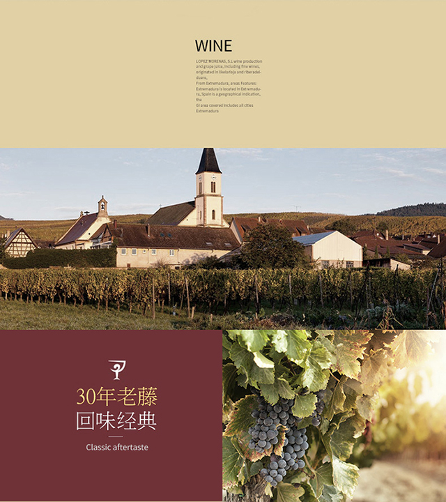 拉菲(LAFITE) 法国进口红酒 拉菲传说Saga波尔