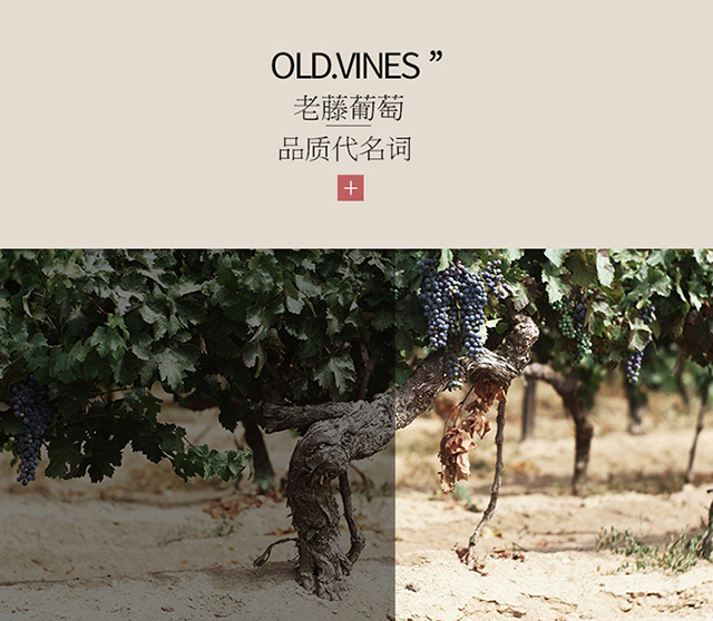 拉菲(LAFITE) 法国进口红酒 拉菲传说Saga波尔