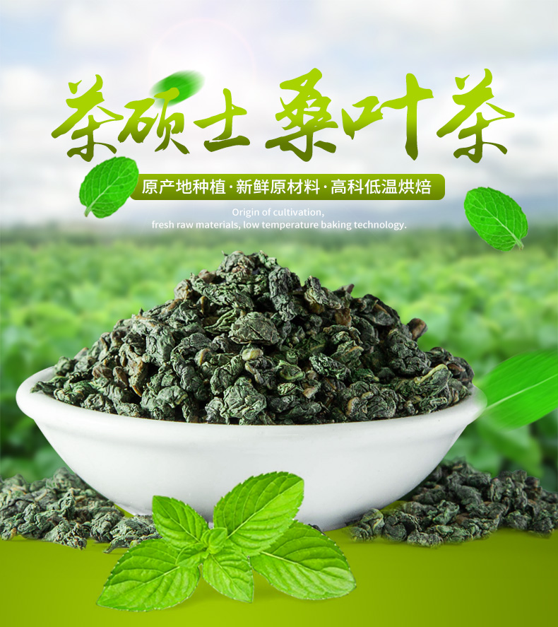 茶硕士花草茶桑叶茶霜桑叶冬霜后桑叶茶包邮
