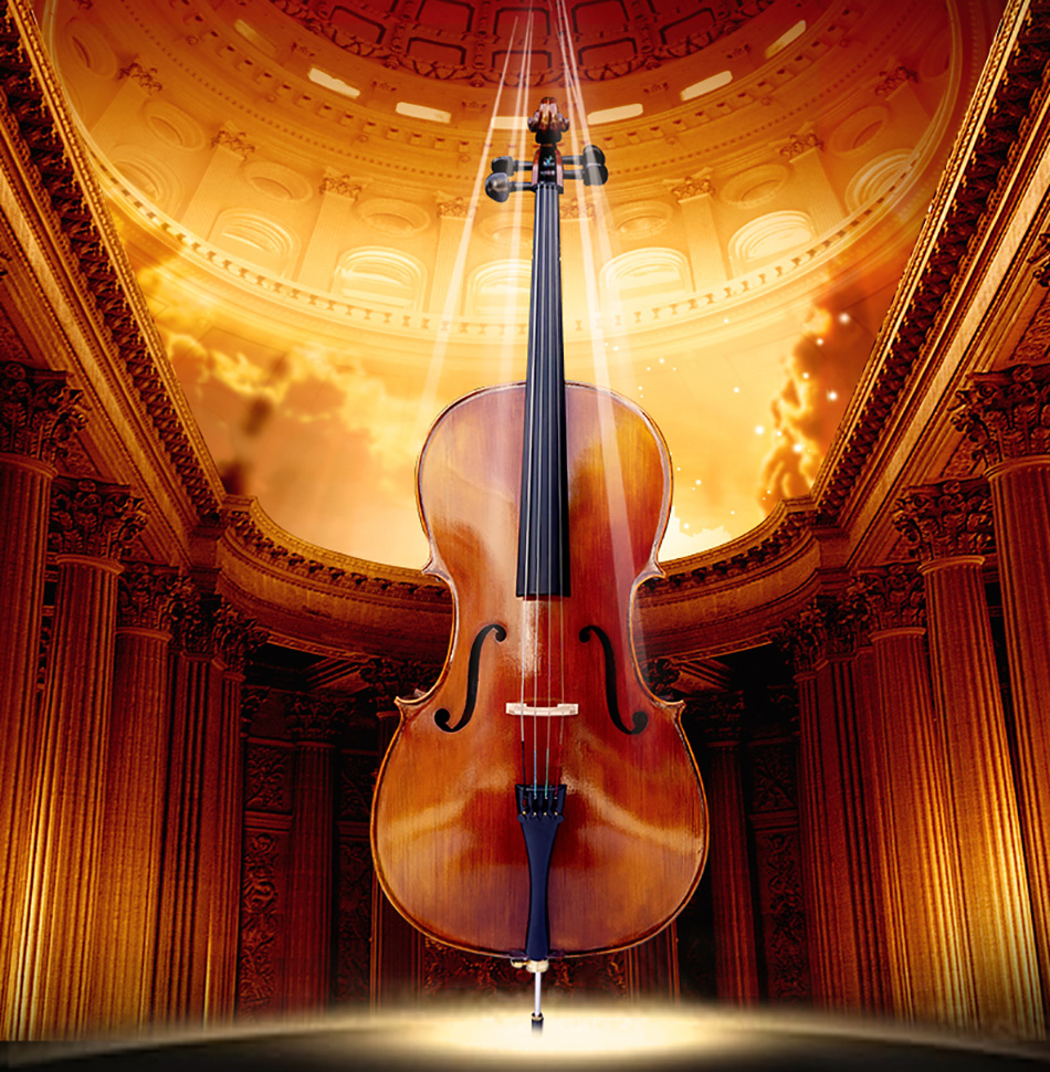 思雅晨(saysn) 专业大提琴成年人儿童手工初学练习考级演奏实木单板