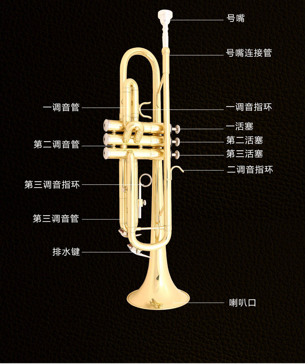 里歌lige小号乐器降b调漆金西洋管弦乐初学考级ltr623