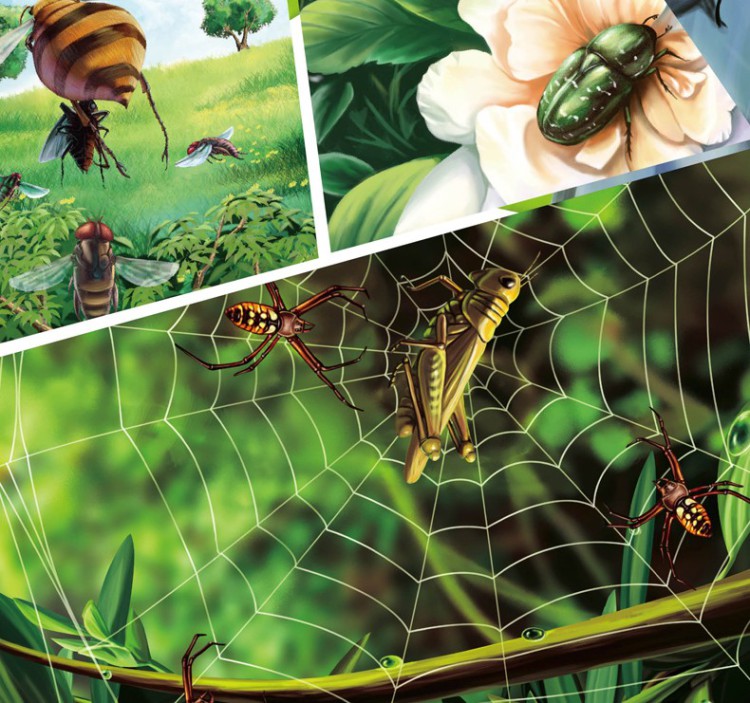 法布尔昆虫记(全彩美绘本学生版共3册)/图说天下