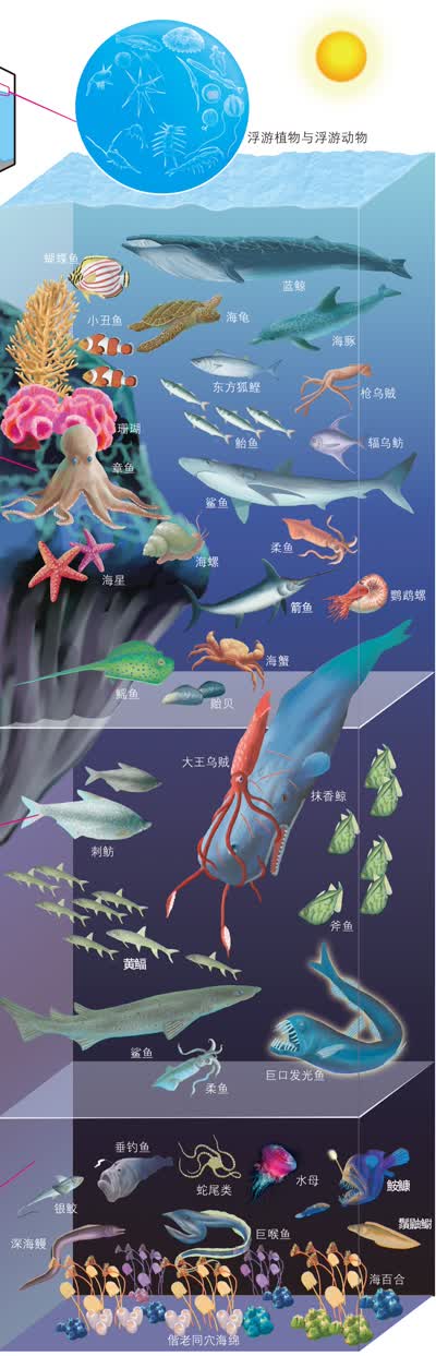 京东触屏版