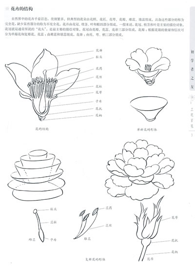 花卉是自然界最美丽的产物,它给人以美的享受,象征着祥和,友情,美好与
