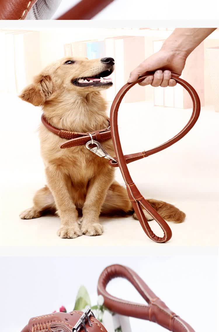 狗狗牵引绳 狗狗绳狗链子 皮质牵引带 超强拉力金毛萨摩耶 中大型犬