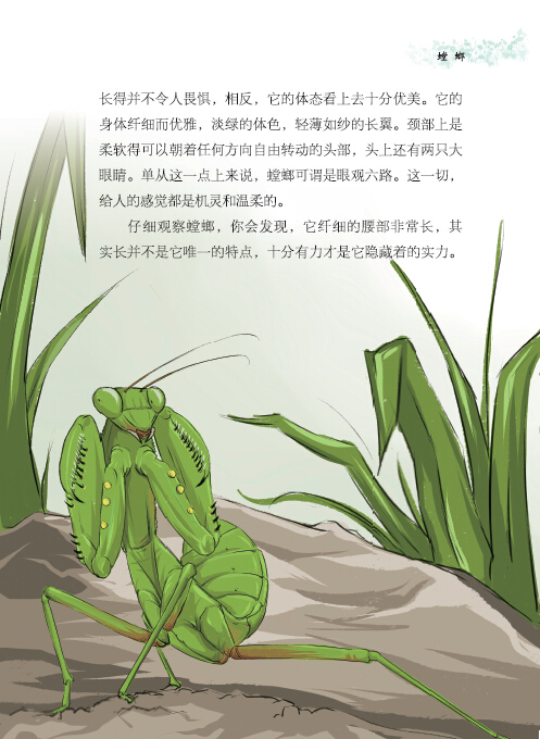 其中篇幅最长,地位最重要,最为世人所知的仍是《昆虫记》