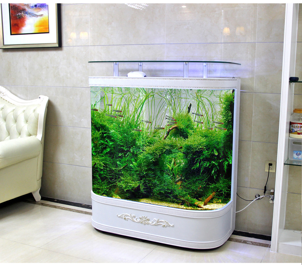 鱼之宝(fish treasure) 更多>>品牌: 金点尚品 商品名称:金点尚品鱼缸