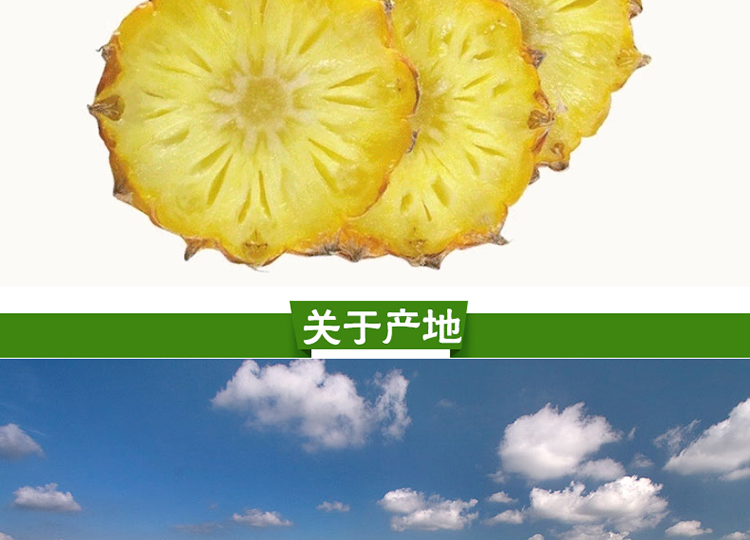 泰纳果园 顺丰配送 产地直供台湾凤梨 1只装(约3斤)