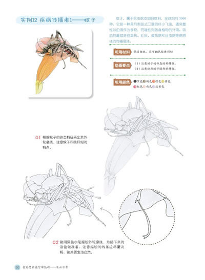 京东触屏版