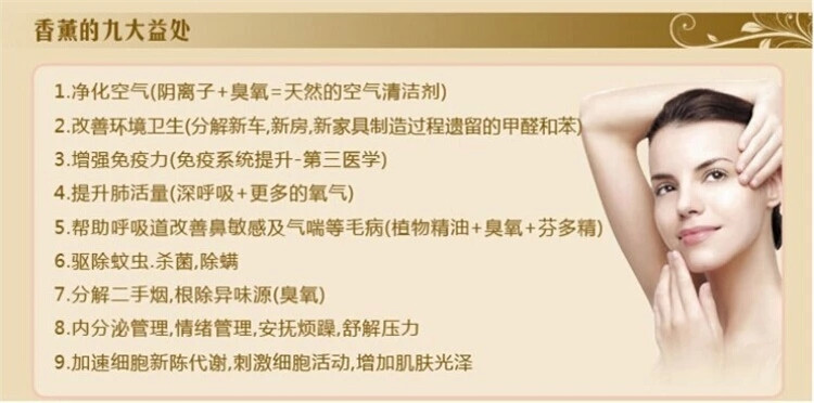 
                                        芳香乐 多款铁艺香薰炉,蜡烛加热大容量香薰精油炉香熏炉香薰灯 3008                