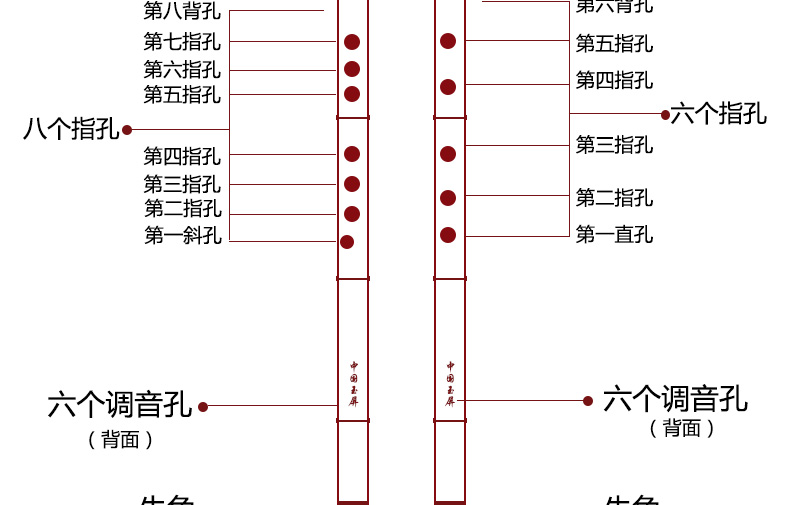 奇宝居 入门箫 乐器 演奏级一节紫竹洞箫八孔箫g调 f调萧初学使用
