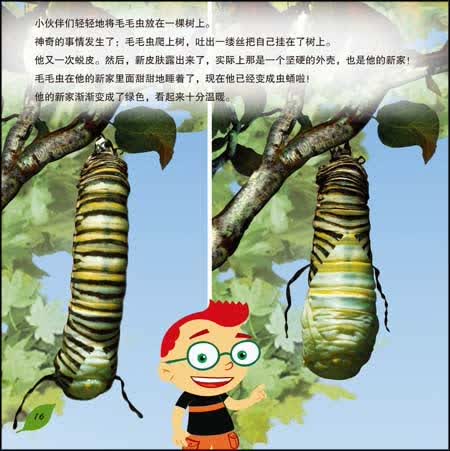 毛毛虫变身记:小卡车载着毛毛虫往大树的方向开来,毛毛虫要在树上