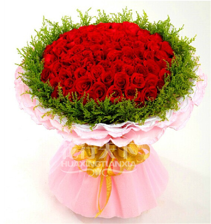 (款式十六)66朵红玫瑰,黄莺丰满点缀,内衬白色卷边纸,外衬粉色卷边纸