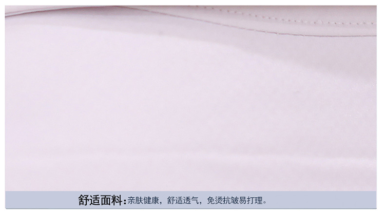 诗寒衬衫女加绒加厚职业装衬衣SHc651 白色. M