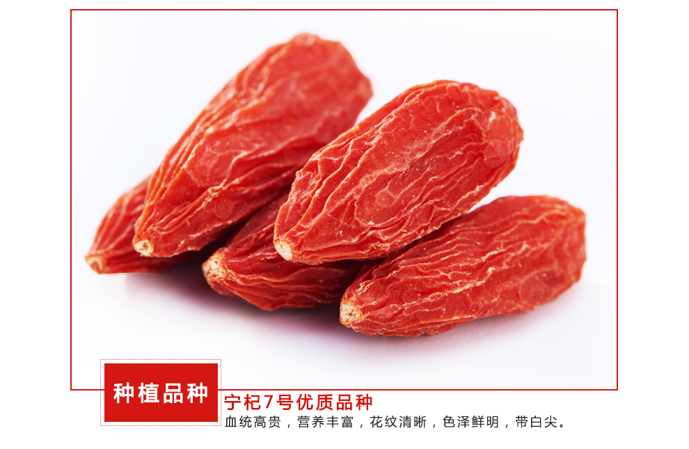 【无掺杂农场自种植枸杞】乌玛农场宁夏中宁特级枸杞 土法养护干爽不