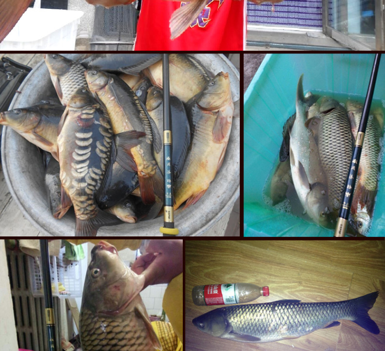 3米_ 9折现价捍太郎日本进口70t碳素2015新品黑色