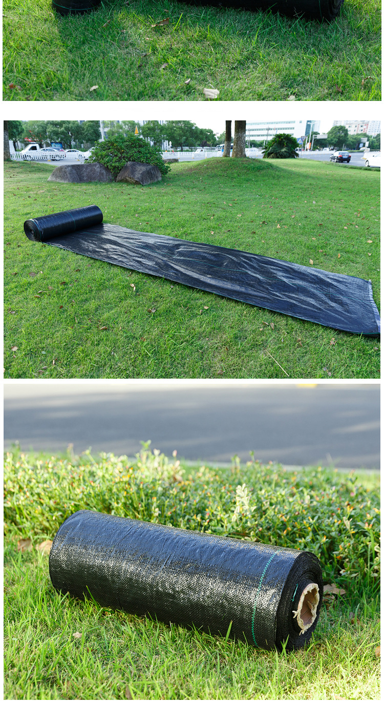 【皓鑫】pe防草布地布蔬菜花卉果树园艺大棚抑草除草布黑色抗老化加厚