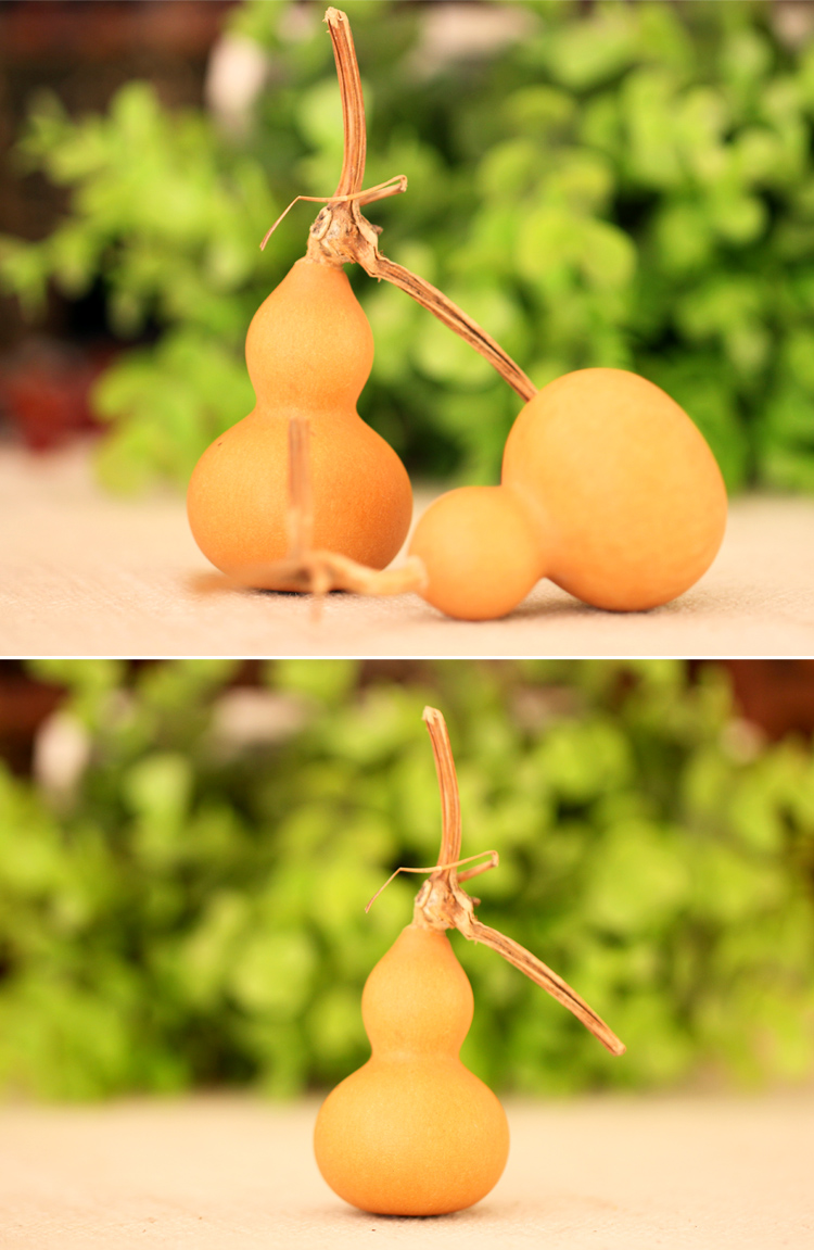 广缘德 开光天然葫芦摆件纯天然手捻小葫芦自然葫芦福禄镇宅化煞排行