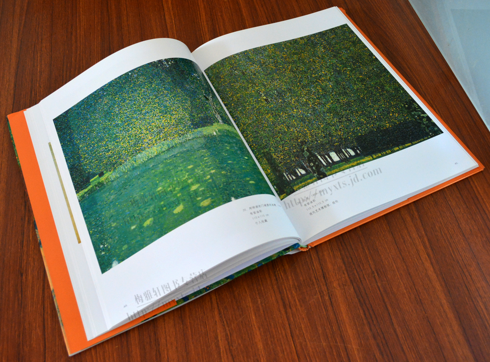 克里姆特油画书绘画书籍油画赏析艺术图册集画集山东美术出版社