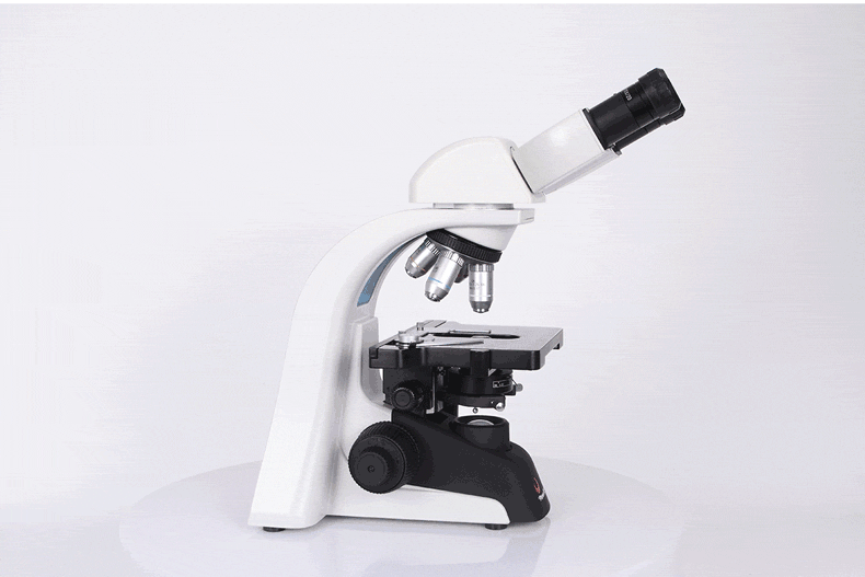 凤凰(phenix) 生物显微镜ph100-2a41l-pl专业儿童学生畜牧养殖高倍