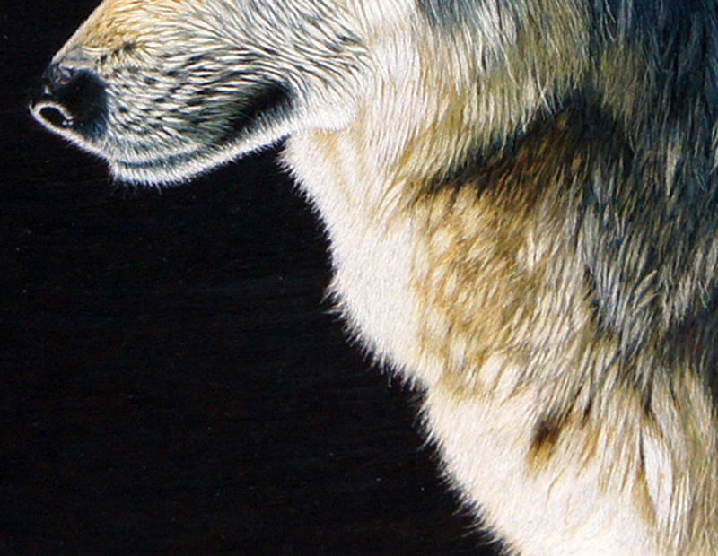 品名: 狼图腾 规格: 93*77 cm 画心: 55*46 cm 工艺: 纯手工刺绣 装裱