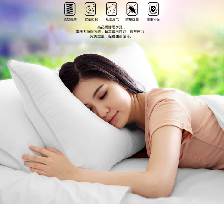 
                                        鸿胤蒙娜丽莎新款十字绣卧室抱枕一对双人枕头套婚庆含枕芯情侣印花草系列汽车靠垫结婚男女礼物 爱你老公老婆款88208一对 长0.72米*宽0.50米                
