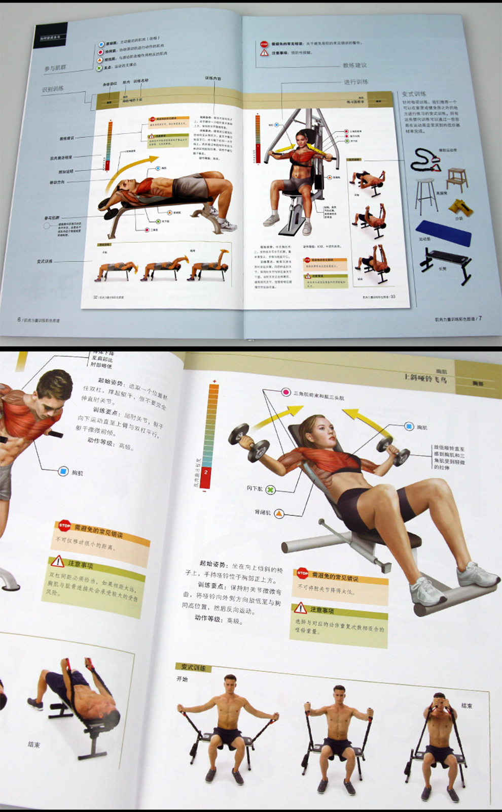 肌肉力量训练 拉伸训练彩色图谱 全2册 健身书籍 教程私人教练教学