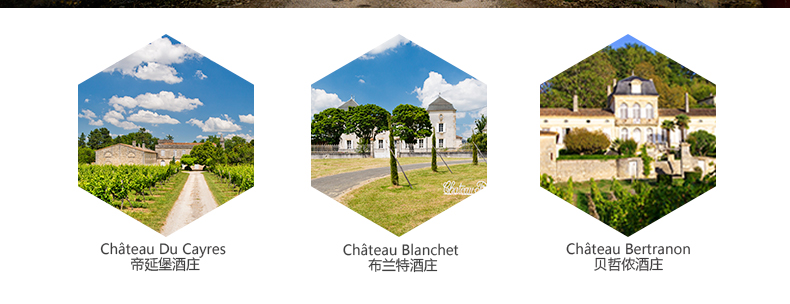 拉蒙法国原瓶进口红酒波尔多aoc加颂酒庄干红葡萄酒小产区珍藏单瓶装