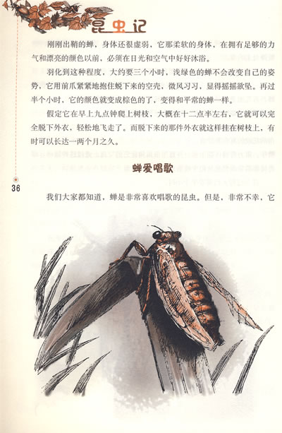 序言