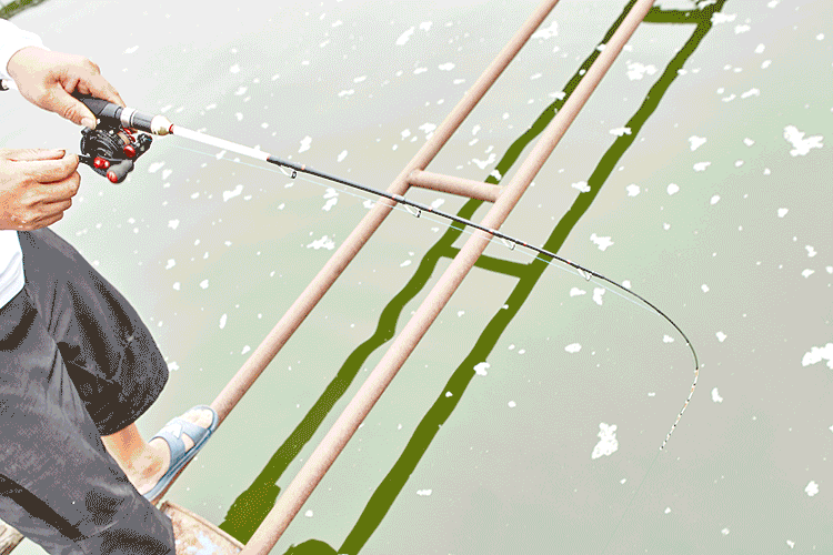 水滴轮筏竿双稍软尾微铅阀杆碳素钓鱼竿筏钓竿套装14半钛单稍远投型