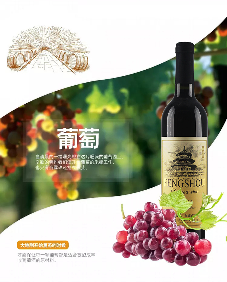 丰收 赤霞珠干红葡萄酒 精选级葡萄酒 红酒 75