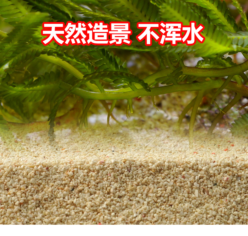菲律宾珊瑚沙鱼缸底砂造景沙水族箱海水缸底砂海沙慈鲷缸造景底砂鱼缸
