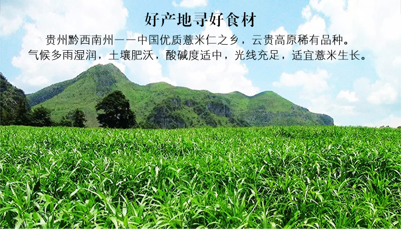 一粥一饭薏米礼盒装400g小薏米薏苡仁薏仁米