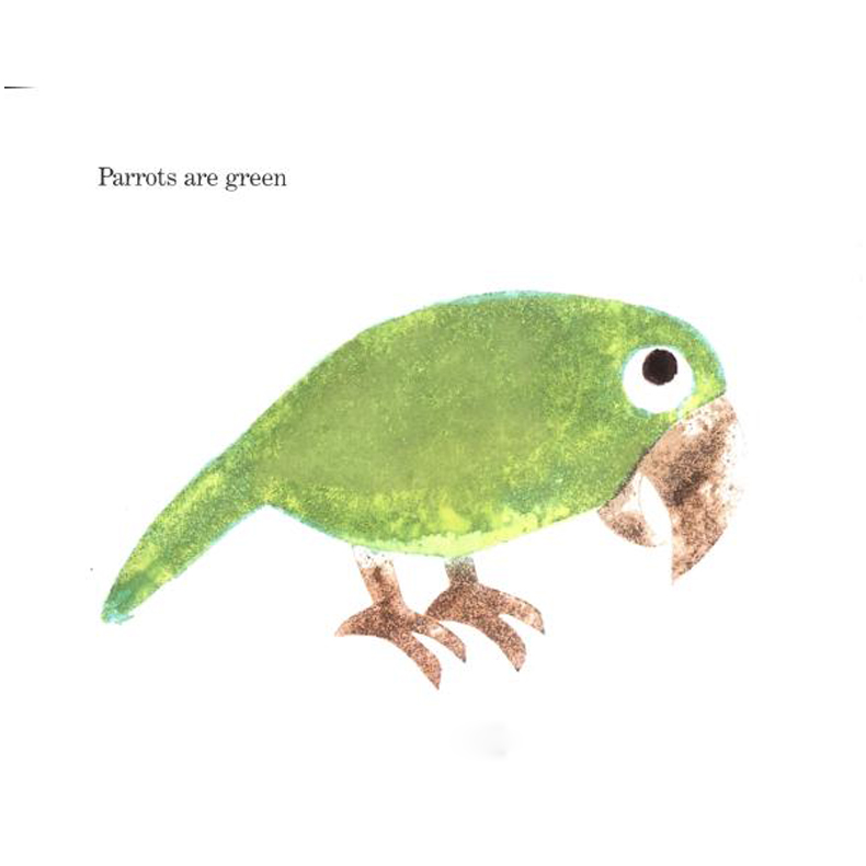 预订acolorofhisown变色龙自己的颜色动物童书儿童原版英文绘本英语