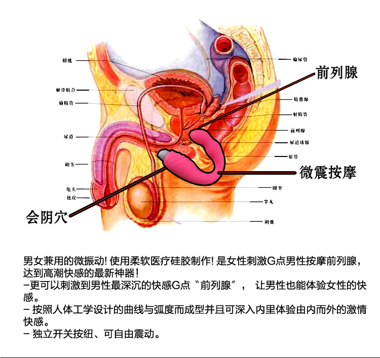取悦前列腺震动按摩器 同志肛交用品 性爱用具sm后庭自慰肛门塞 成人