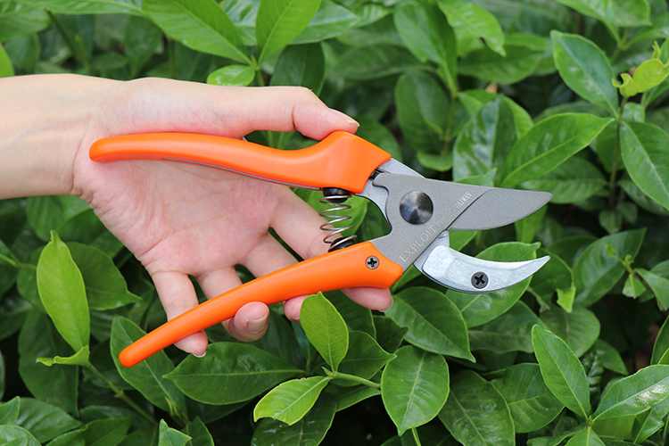 园林剪刀园艺花枝剪 sk5修枝剪果树嫁接剪刀粗枝剪树枝花木修剪工具
