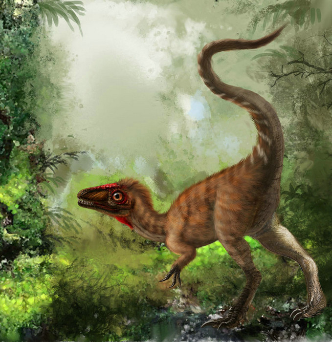 恐龙,史前时代的霸主,庞大而硕重;羽毛,飞翔天空的精灵,小巧而轻盈.