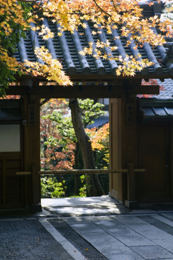 《正版现货 西风多少恨 吹不散眉弯 白落梅 中国华侨出版社》- 京东