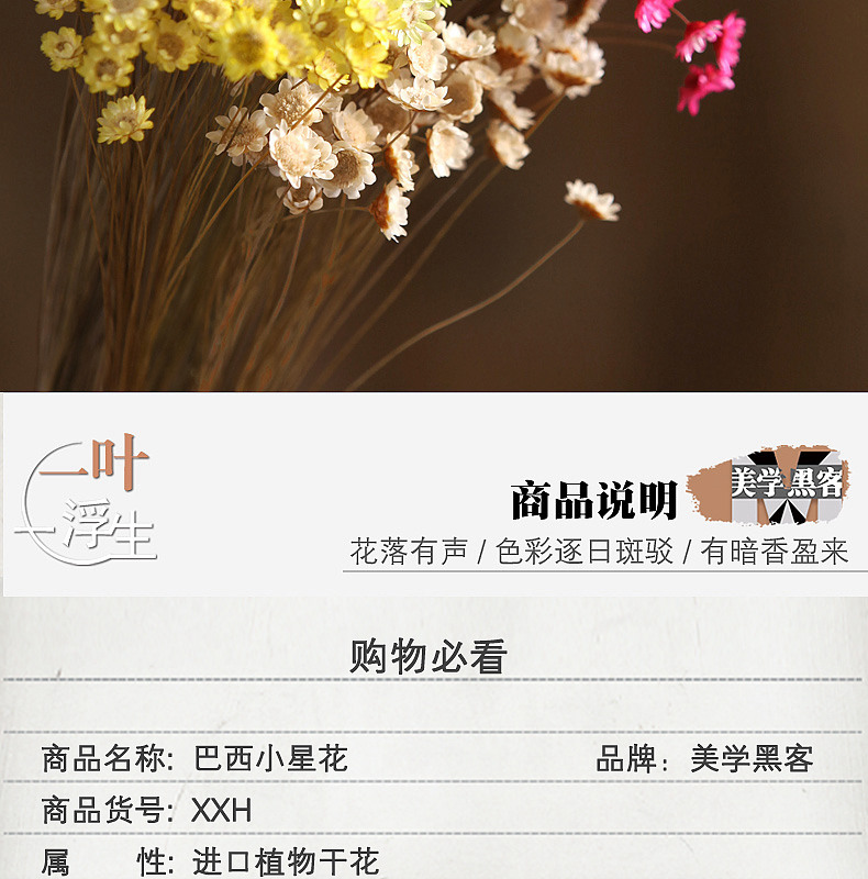 巴西进口小星花小干花小雏菊干花花束真花风干天然装饰文艺客厅家居